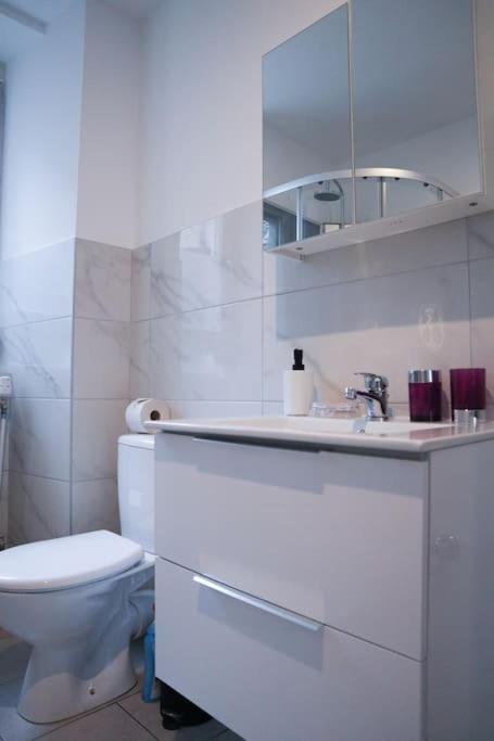 Appartement Entier, Proche Tram-Train Et Commodites, Parking Gratuit Mulhouse Dış mekan fotoğraf