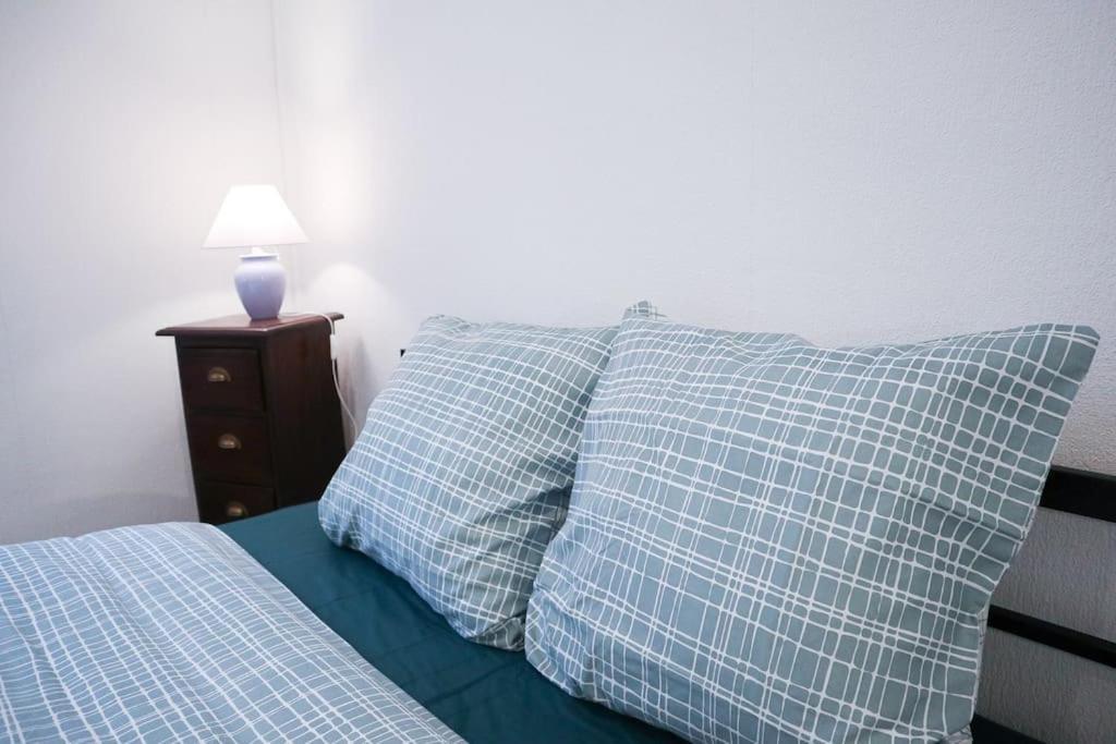 Appartement Entier, Proche Tram-Train Et Commodites, Parking Gratuit Mulhouse Dış mekan fotoğraf