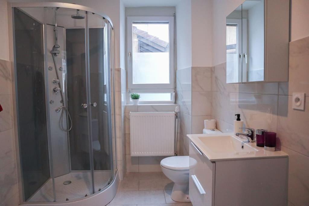 Appartement Entier, Proche Tram-Train Et Commodites, Parking Gratuit Mulhouse Dış mekan fotoğraf