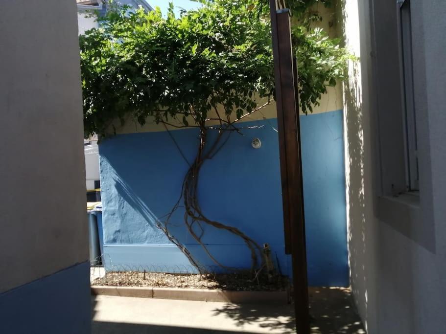 Appartement Entier, Proche Tram-Train Et Commodites, Parking Gratuit Mulhouse Dış mekan fotoğraf