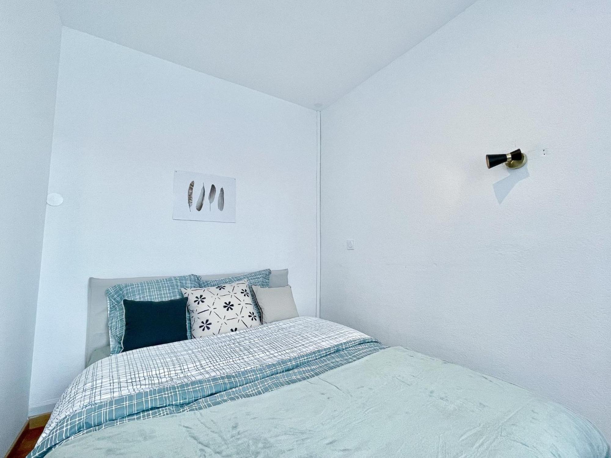 Appartement Entier, Proche Tram-Train Et Commodites, Parking Gratuit Mulhouse Dış mekan fotoğraf